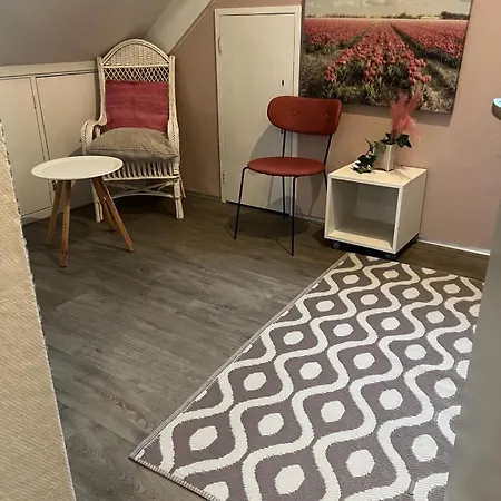 Dutch Delight - Big Private Garden, Near Lake Ewijk