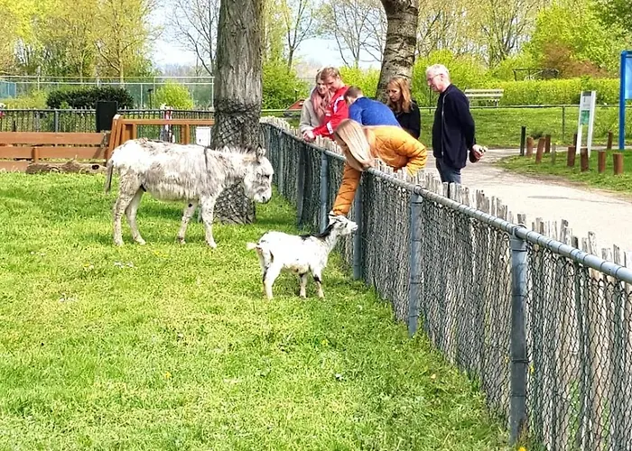 Dutch Delight - Big Private Garden, Near Lake Ewijk